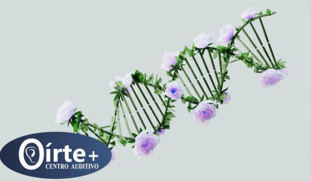 Patologías auditivas